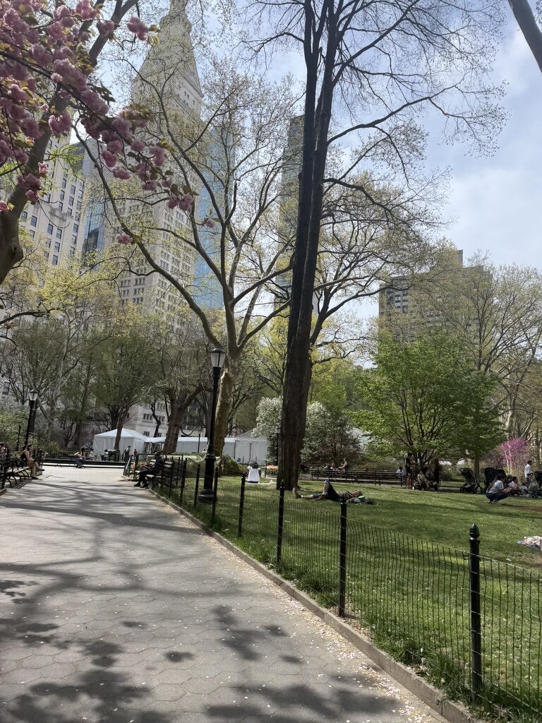 Madison Square Park after interview