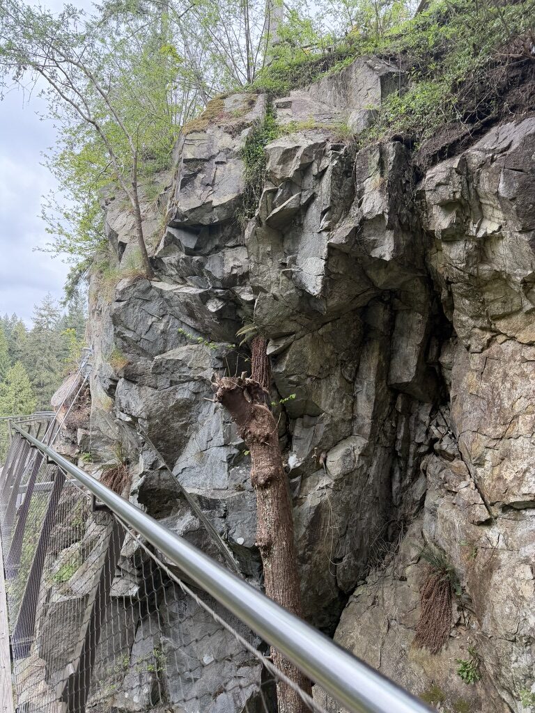 cliff walk at Capilano