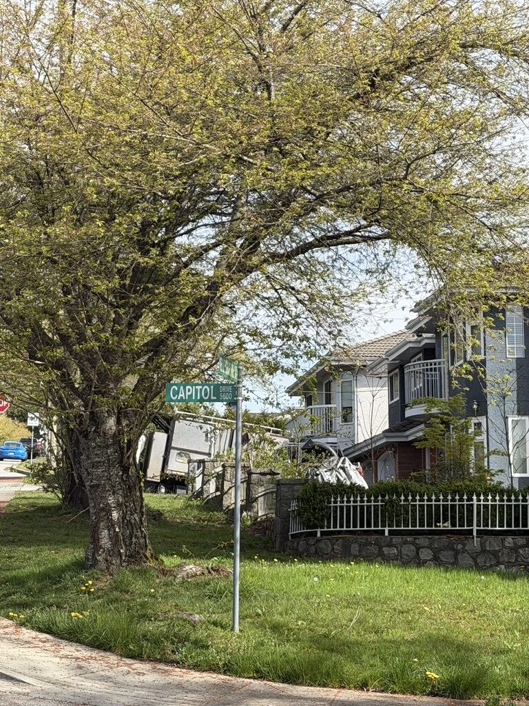 hilly neighbourhood streets