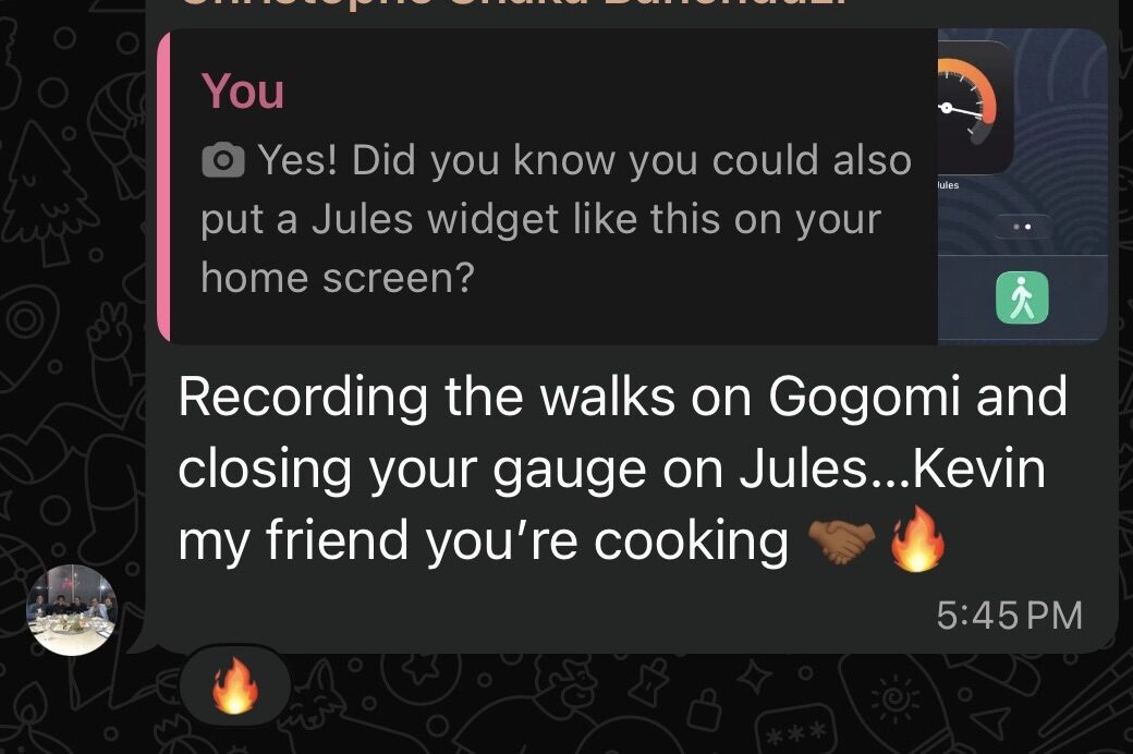 someone in Jules group chat noticing the synergy