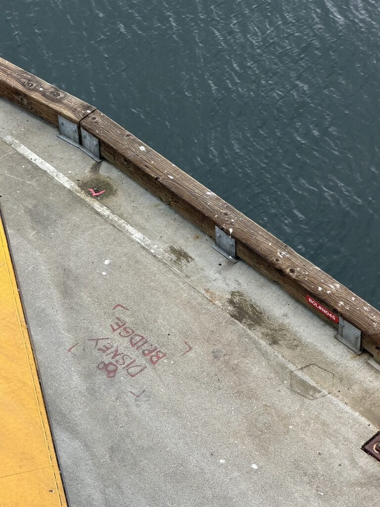Disney cruise docking point
