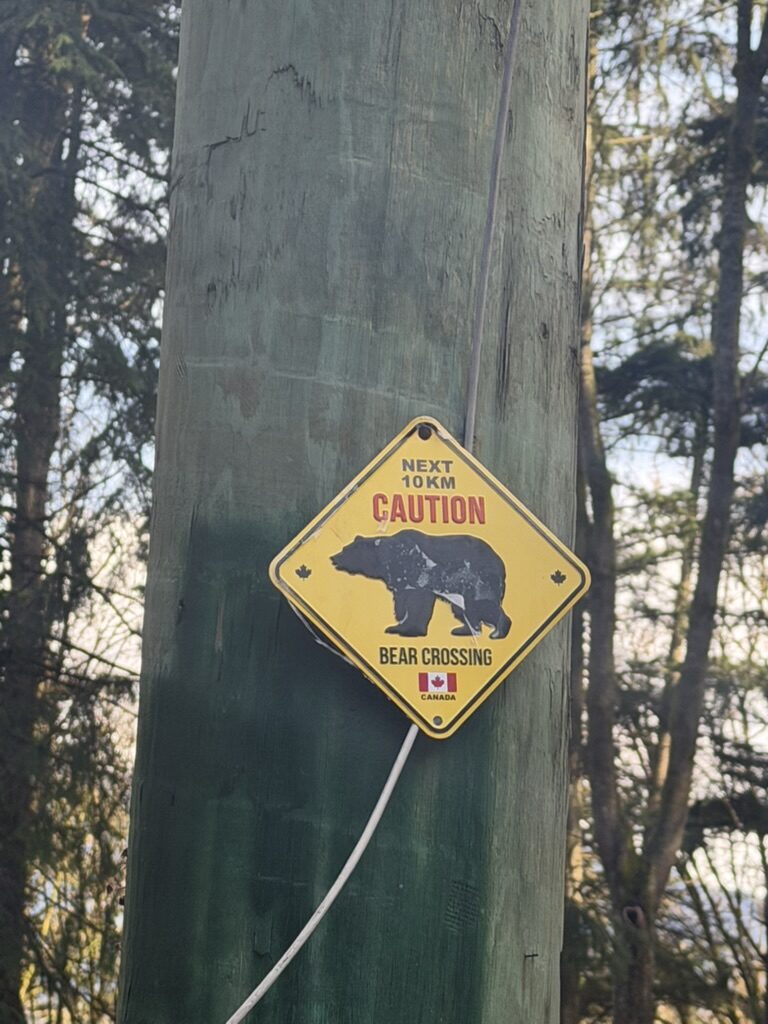 bear warning sign