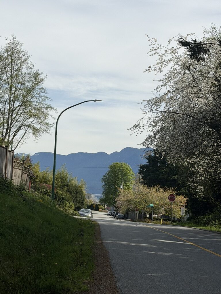 another view from the hilly neighbourhood