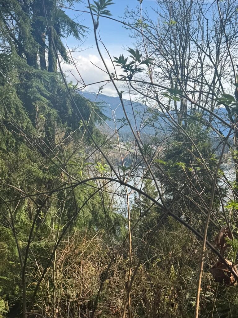 deep in the bushes