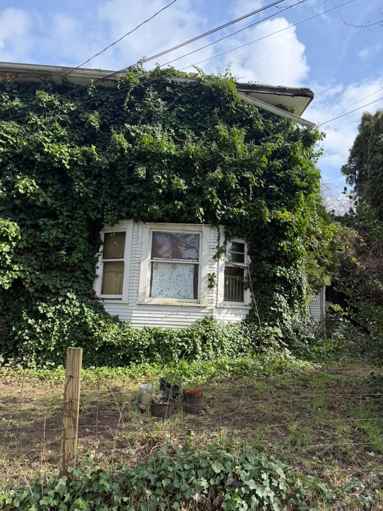house with vines all over
