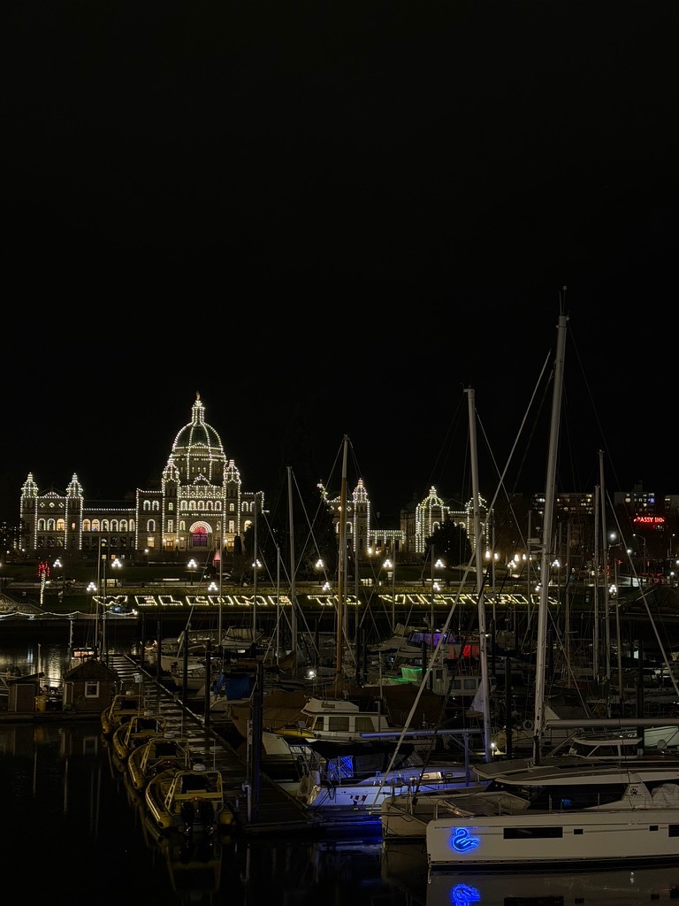 parliament house with lights at night