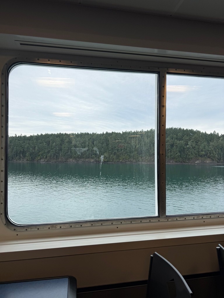 out a ferry window to one of the islands we sailed by