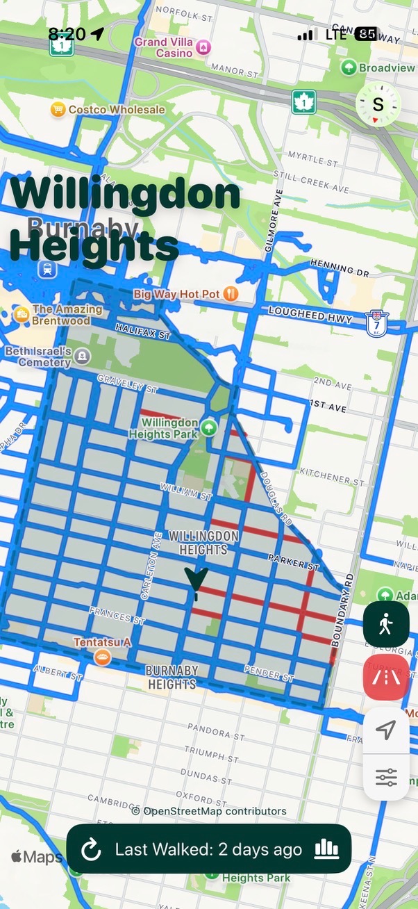 gogomi showing almost completing the area