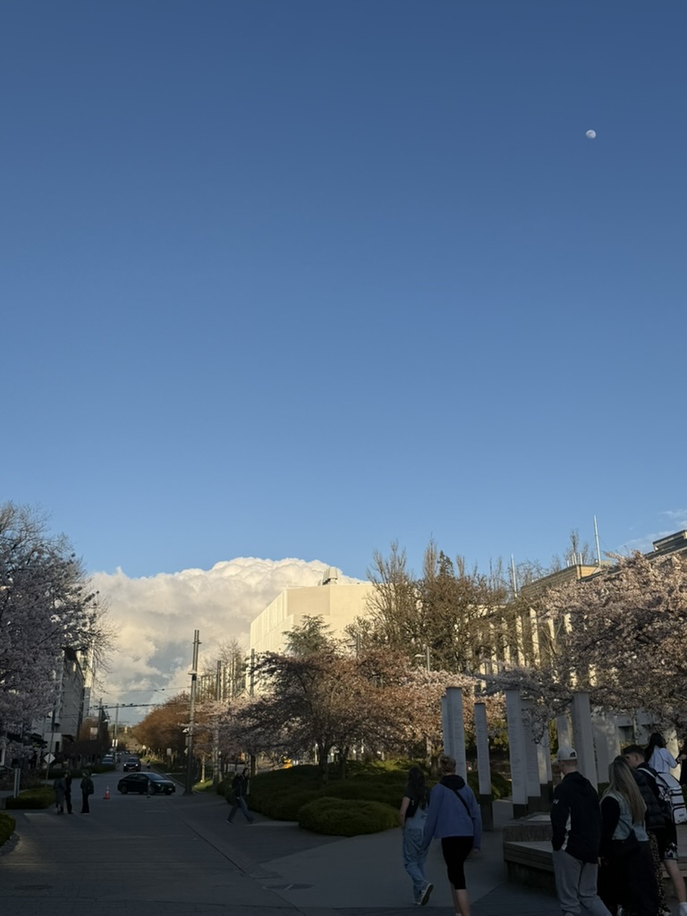 twilight in Vancouver