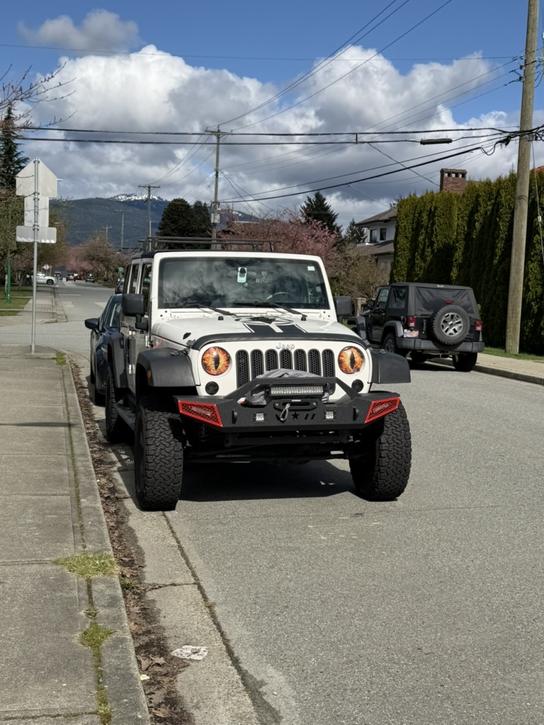 more cherry blossoms behind an evergreen