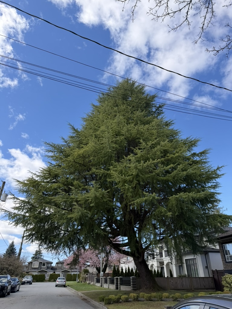 beastly headlights on a jeep