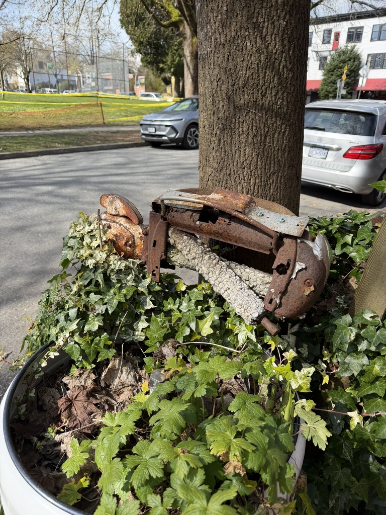 ancient laundry machine rewilding on a sidewalk