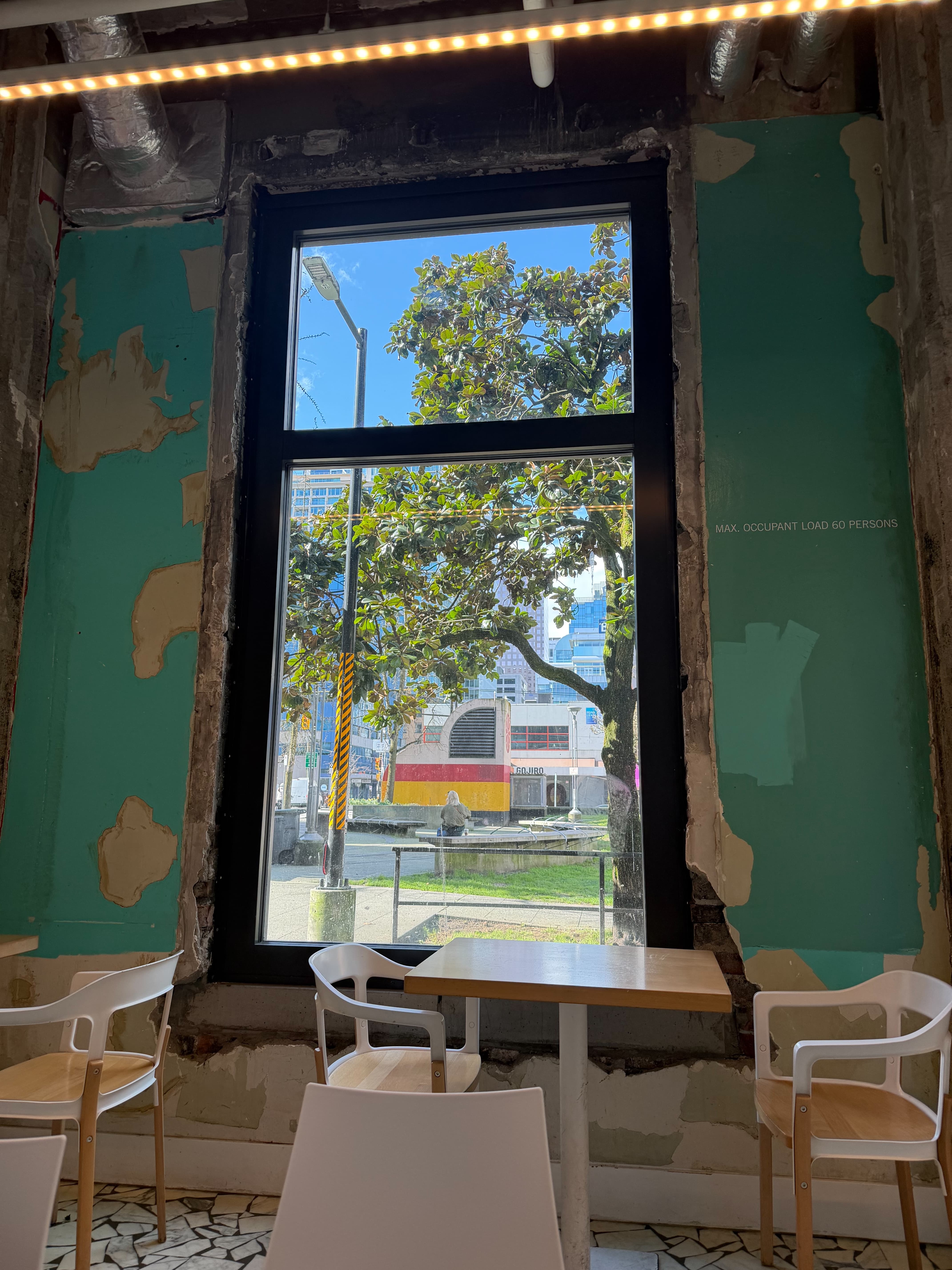 guy throwing frisbees near algae-infested pond at Cathedral Square