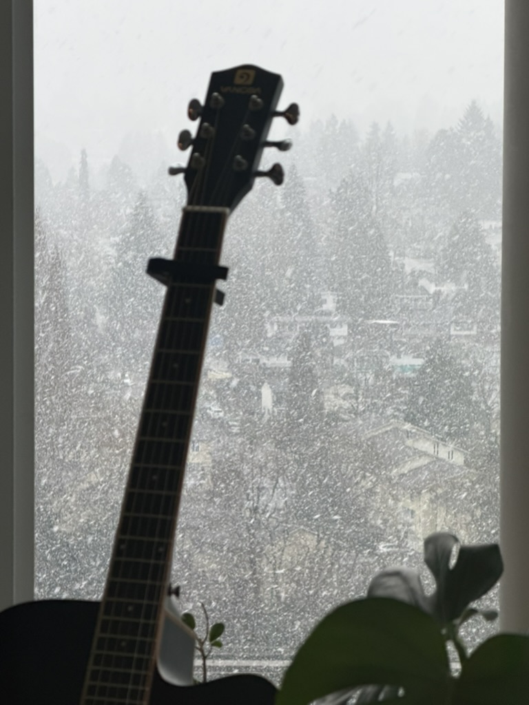 Metro Vancouver snow week