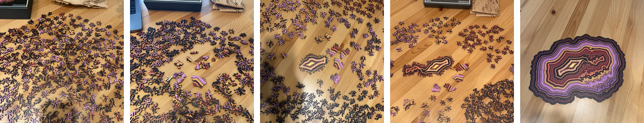 nervous system irregular jigsaw puzzle