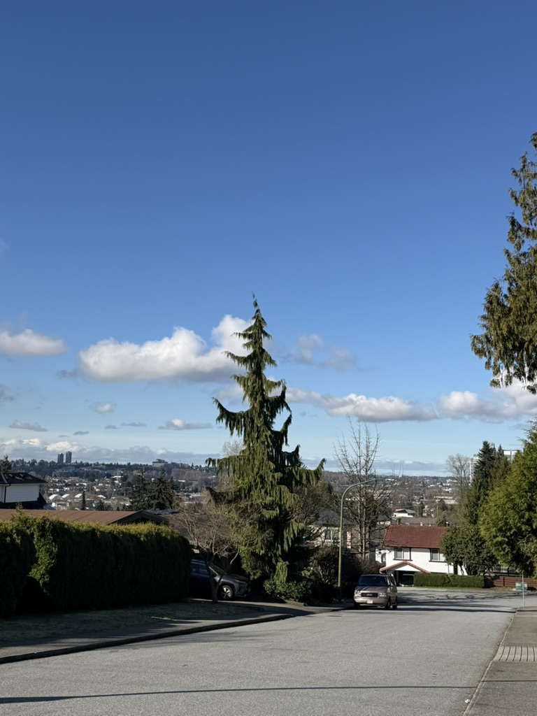 Saturday morning in the neighbourhood