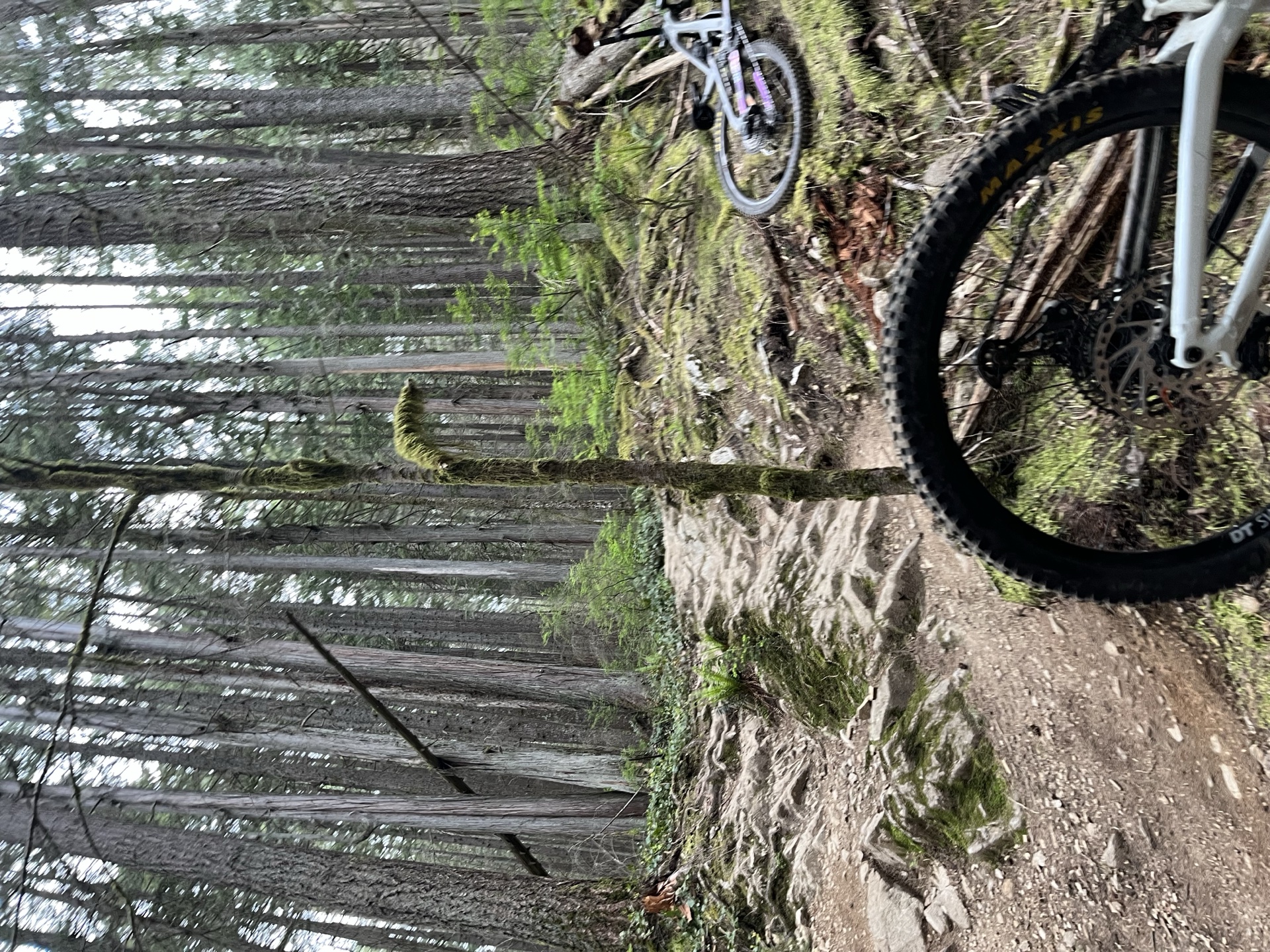 The scene of the incident