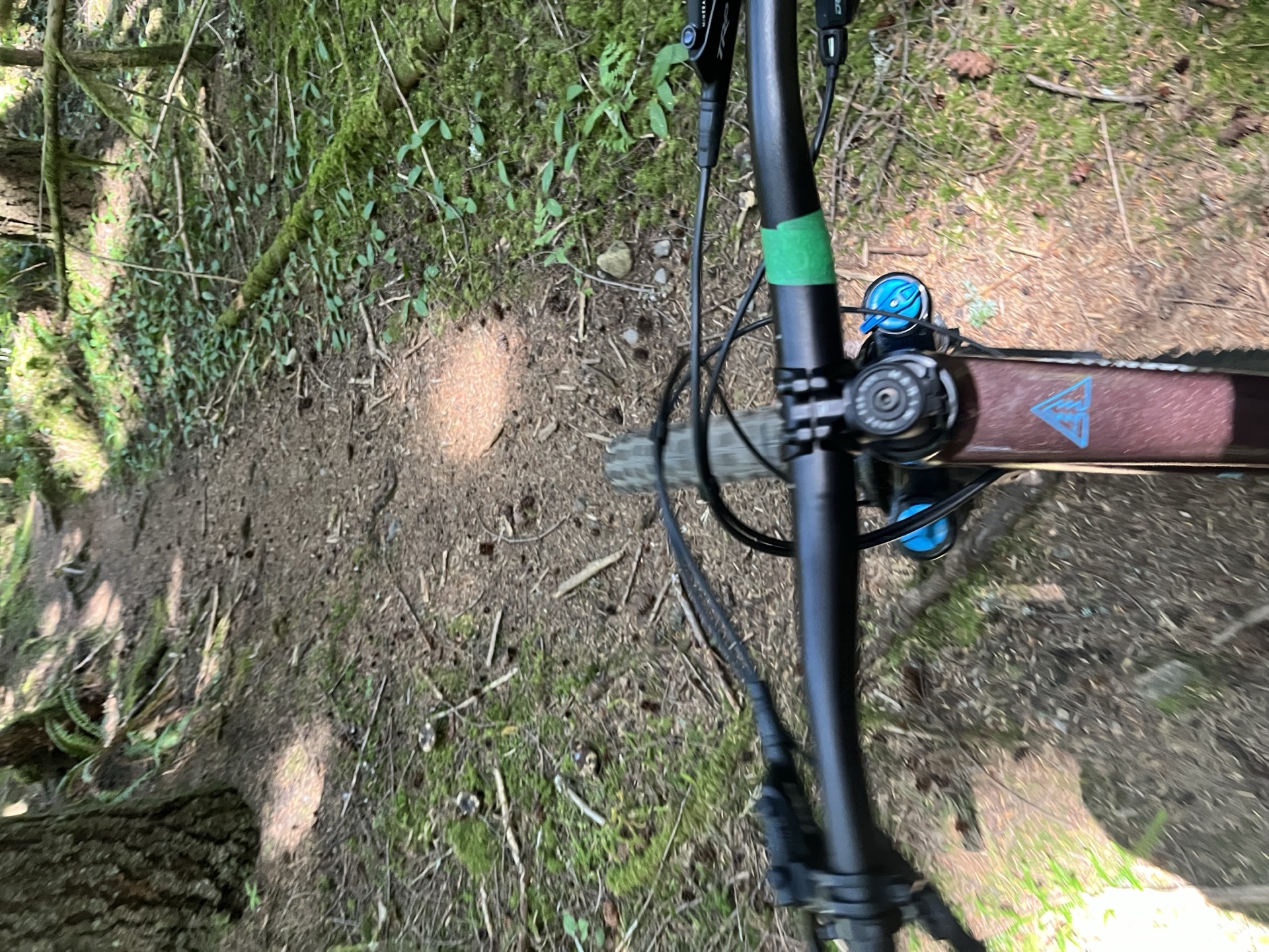 More bikes from Essential Cycles