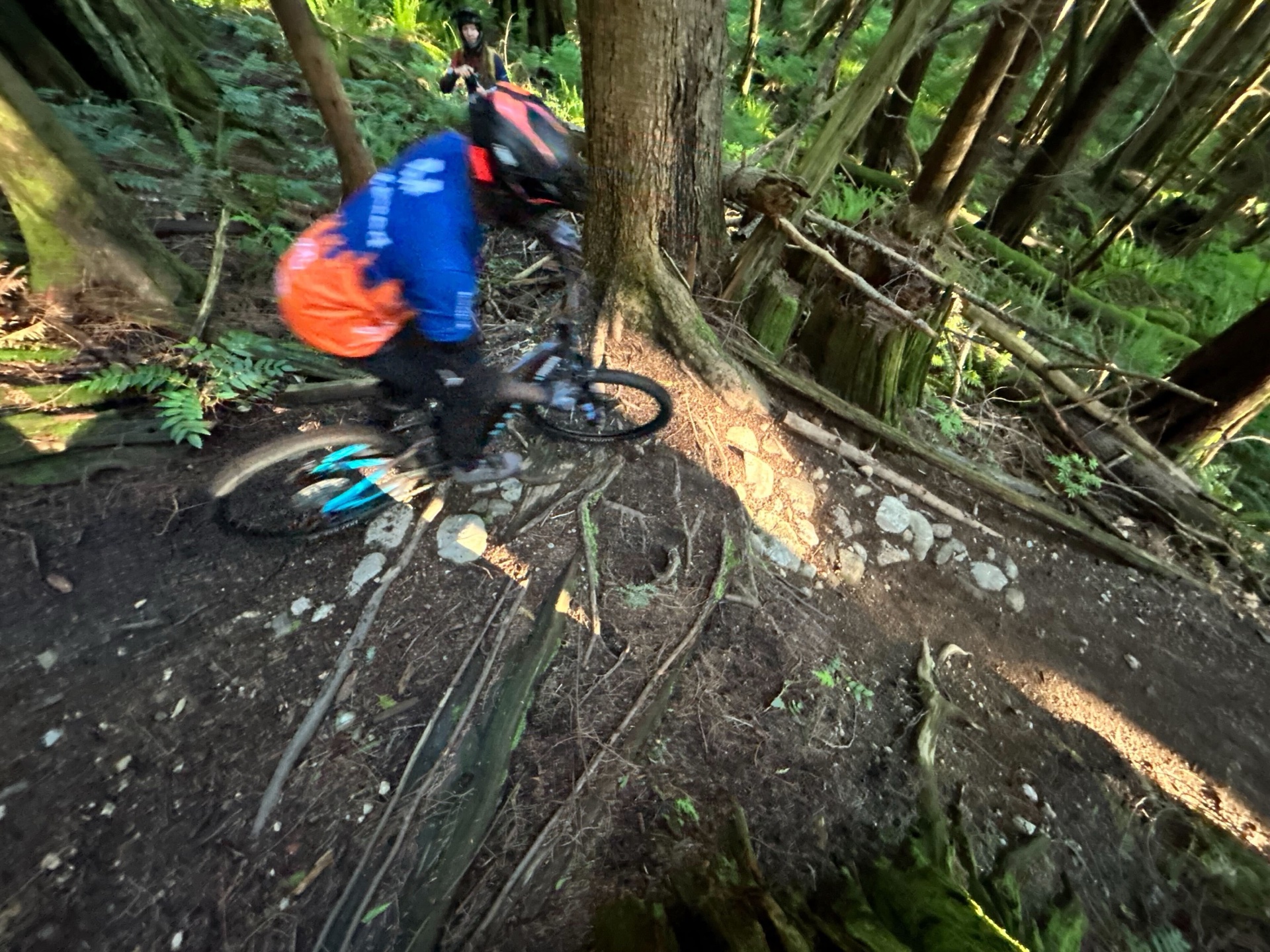 Additional team training session