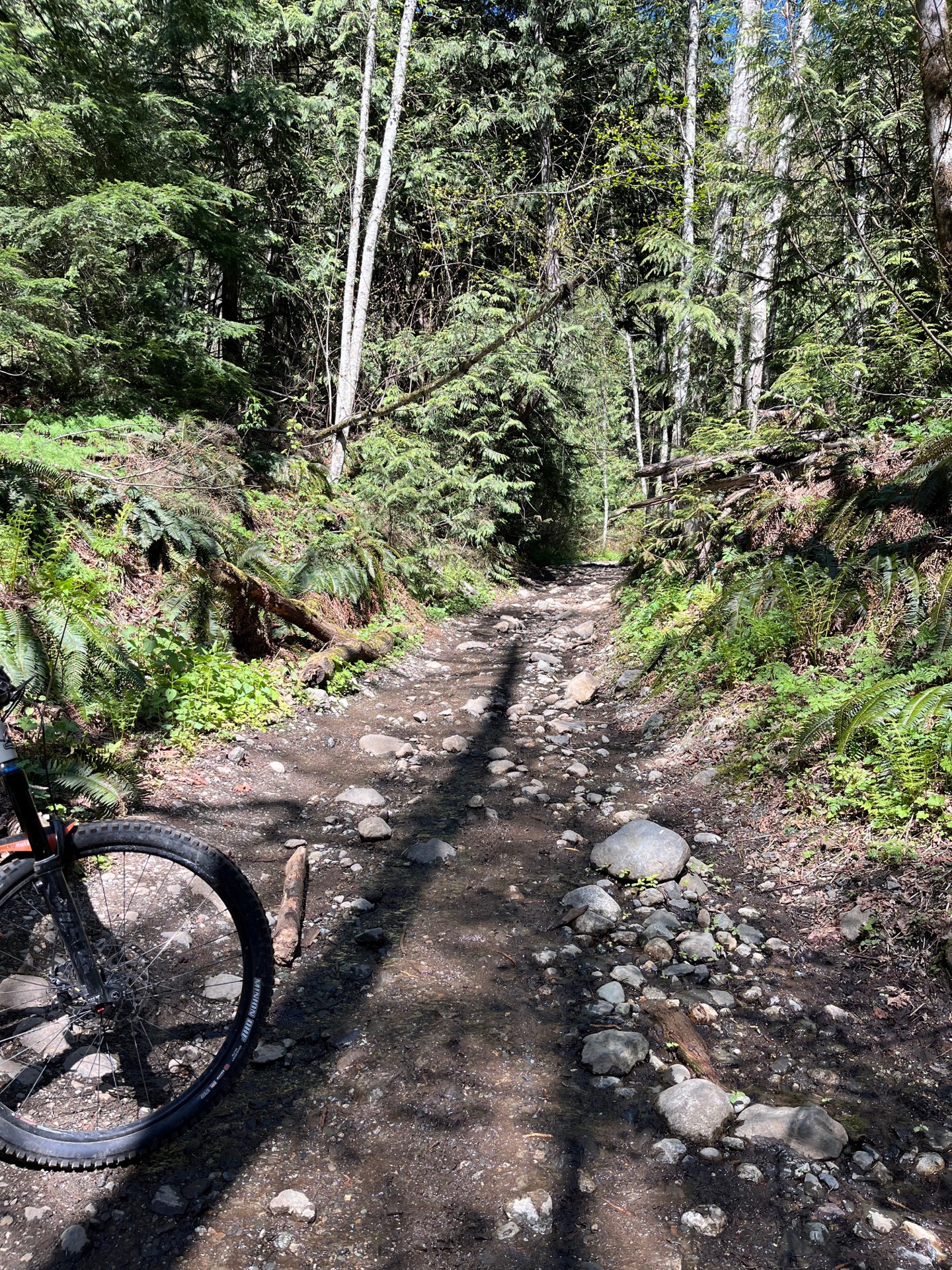 Somewhere up Vedder Mountain