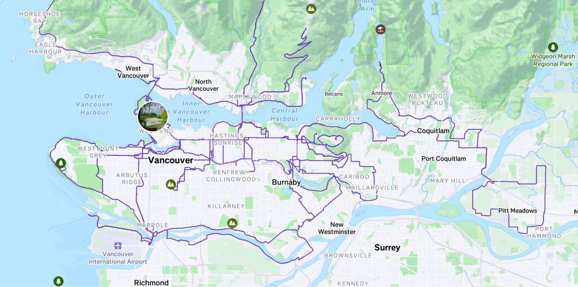 Strava heatmap of cycling