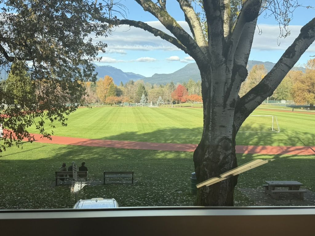 View from McGill library