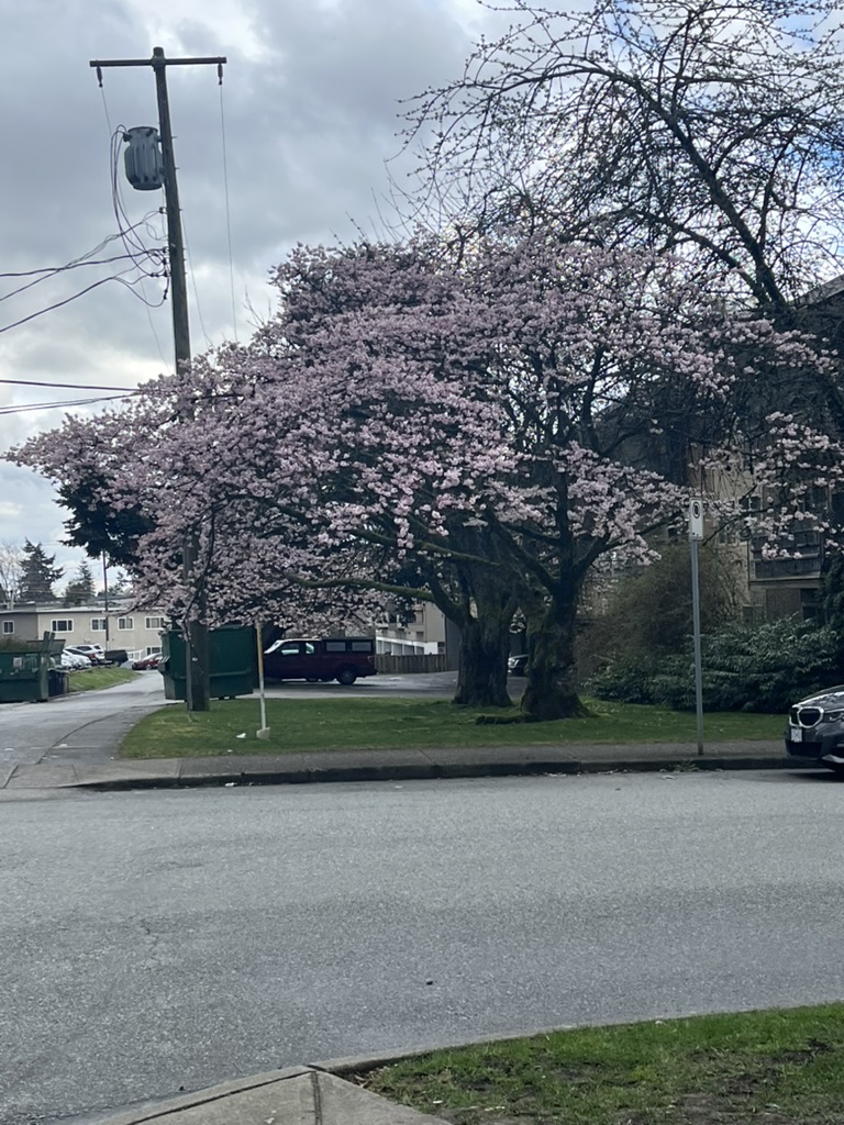 Building and street view