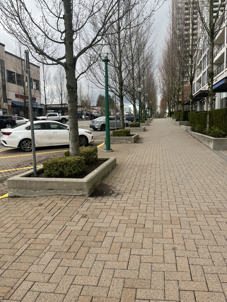 Planter-lined sidewalk on the street
