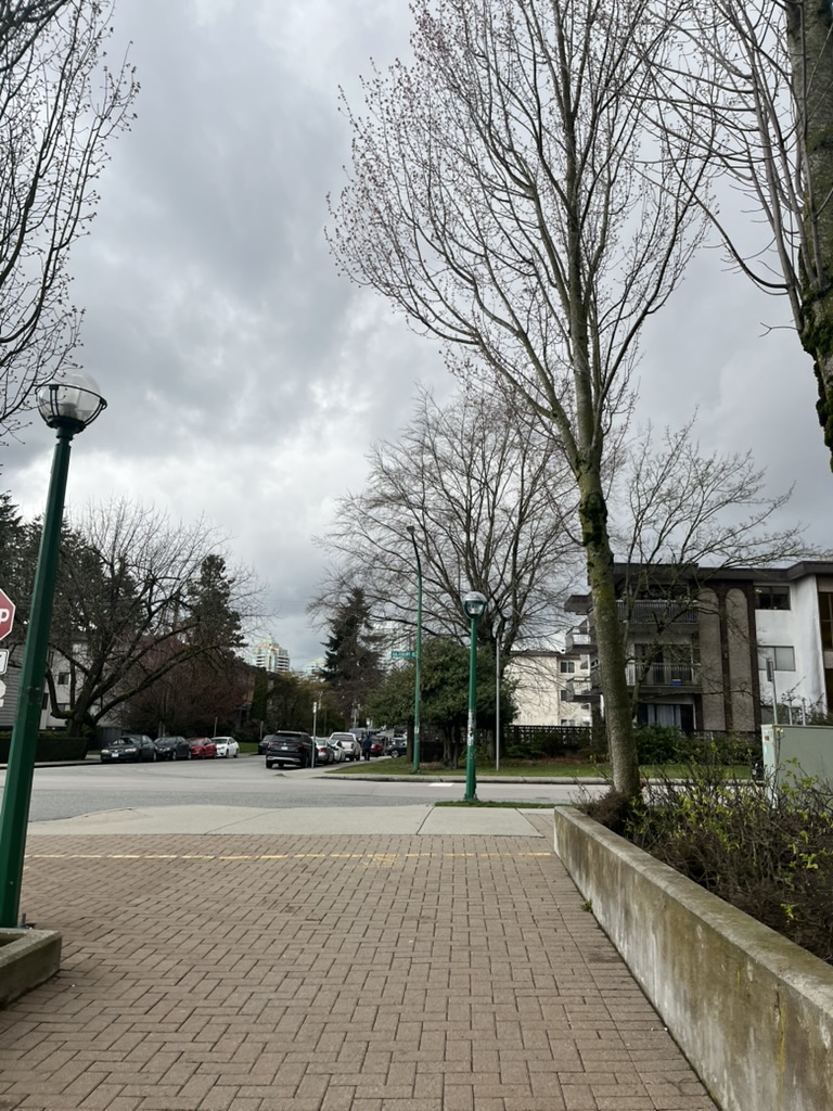 Cherry blossoms and street scenery