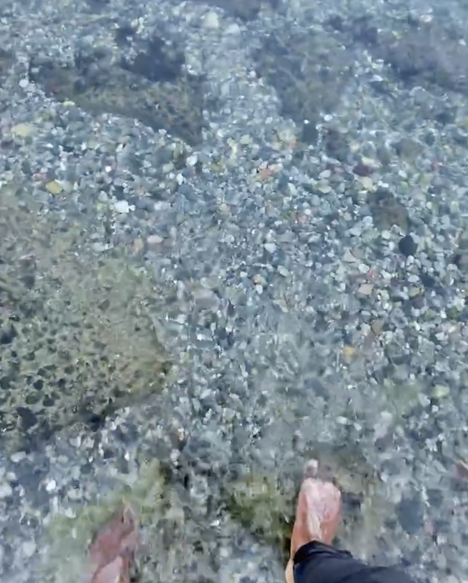 Coincidentally, a nearby boat's horn went off, just in time to cushion my shrieking