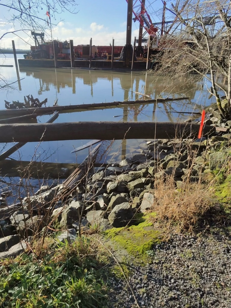 At one of the banks of the Fraser River from Foreshore Park