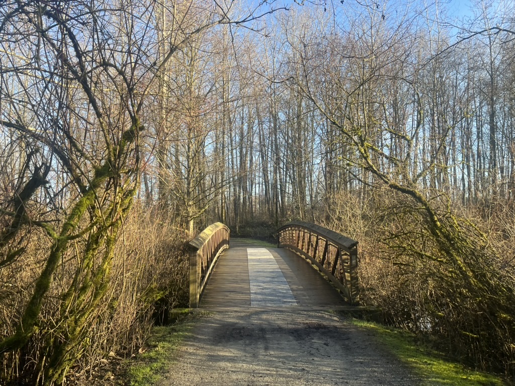 The small bridge at Foreshore Park
