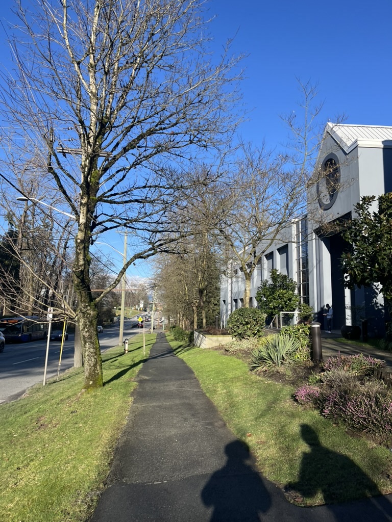 Down Willingdon Ave (1)