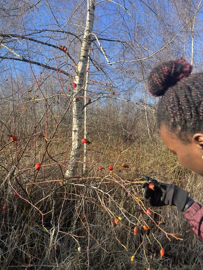 Jo, 'If I eat this, will I die?'