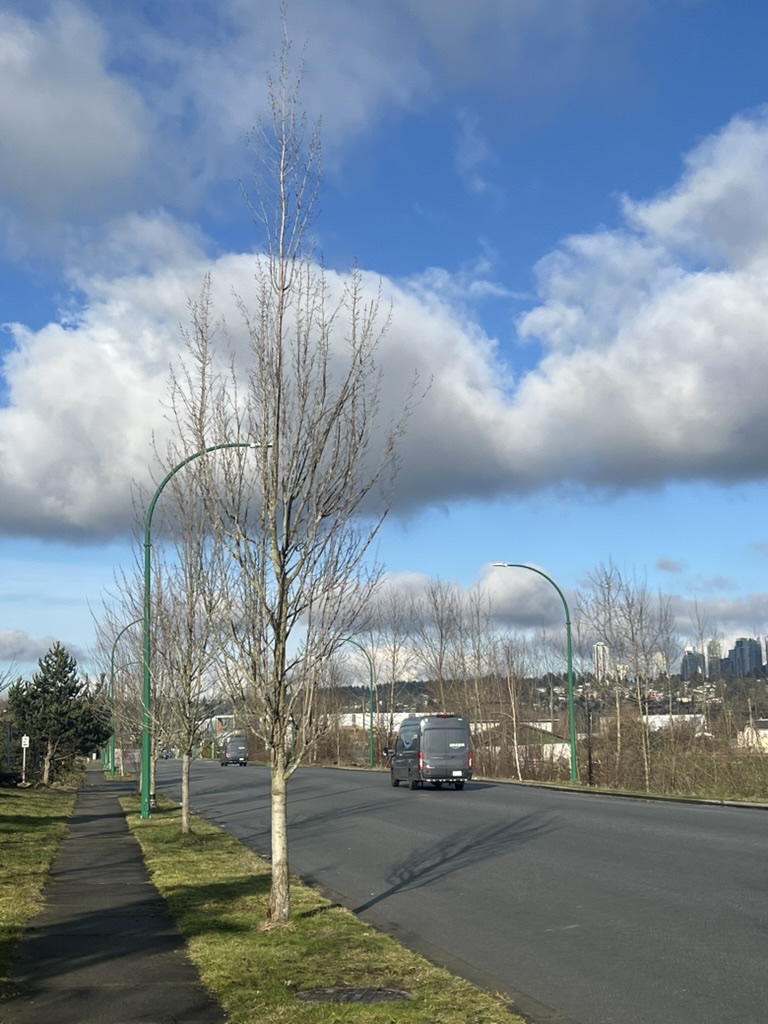 We created a mini-game counting how many trucks passed since we started up that street