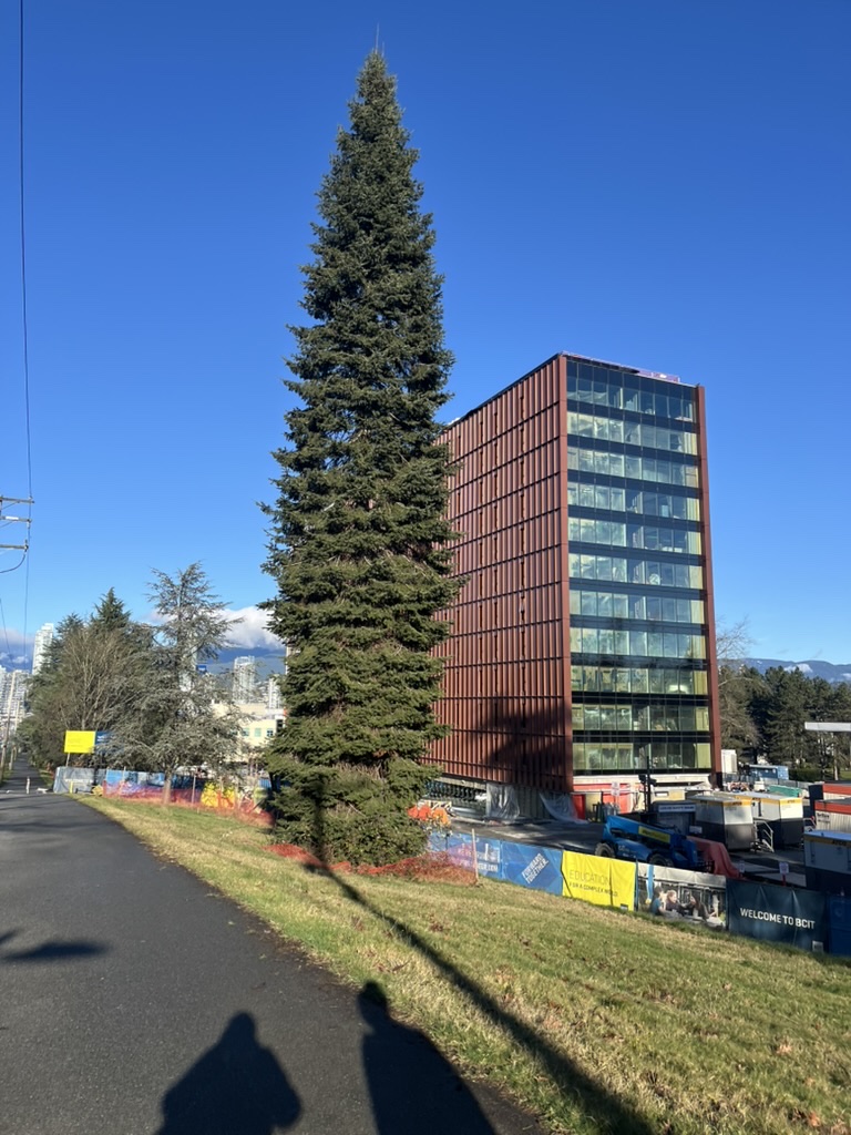 Down Willingdon Ave (2)