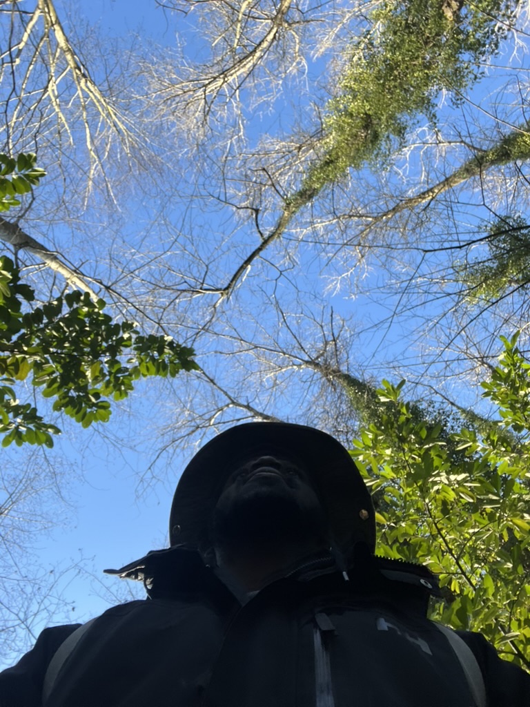 Thought this bottom-up shot was really cool (1)